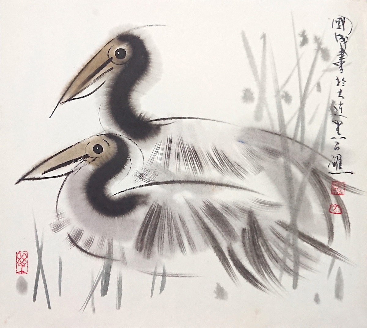 Pelicans 1 by Chen GuoCheng【陈国成】