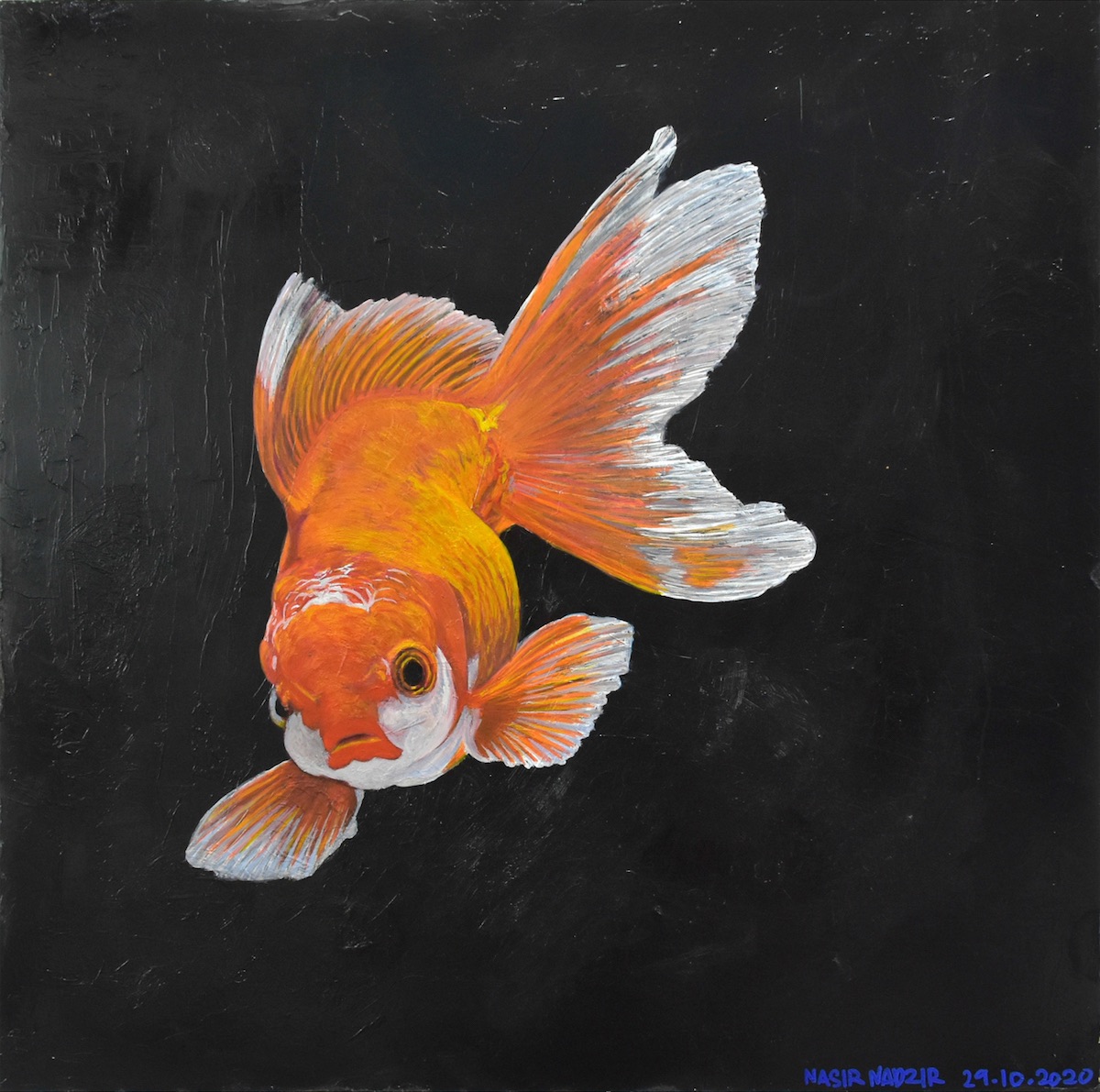 Goldfish by Nasir Nadzir