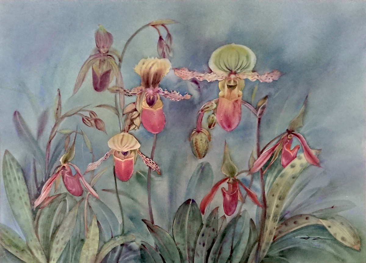 Orchids by Teh Siew Joo