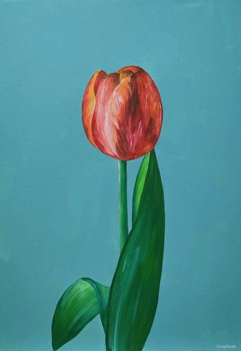 Red Tulip by Chen Yi